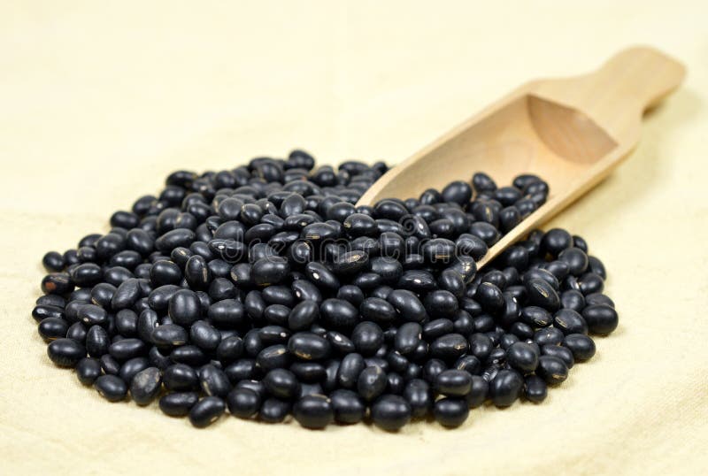 Schwarze Bohne stockfotos Schwarze Bohne stockfotos