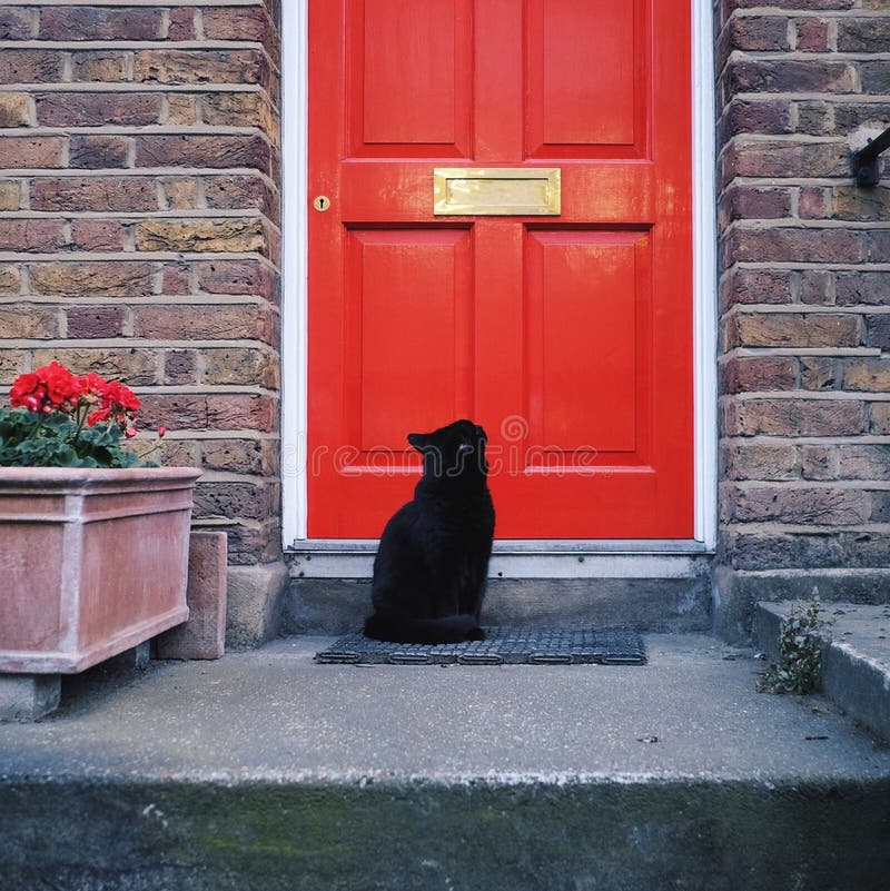 Schwarze Cat And Red Door stockfotografie Schwarze Cat And Red Door stockfotografie