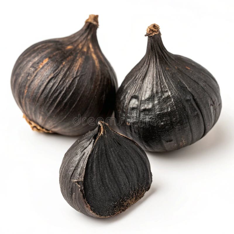 Schwarze Knoblauch Bullen isoliert auf weißem Hintergrund stock abbildung