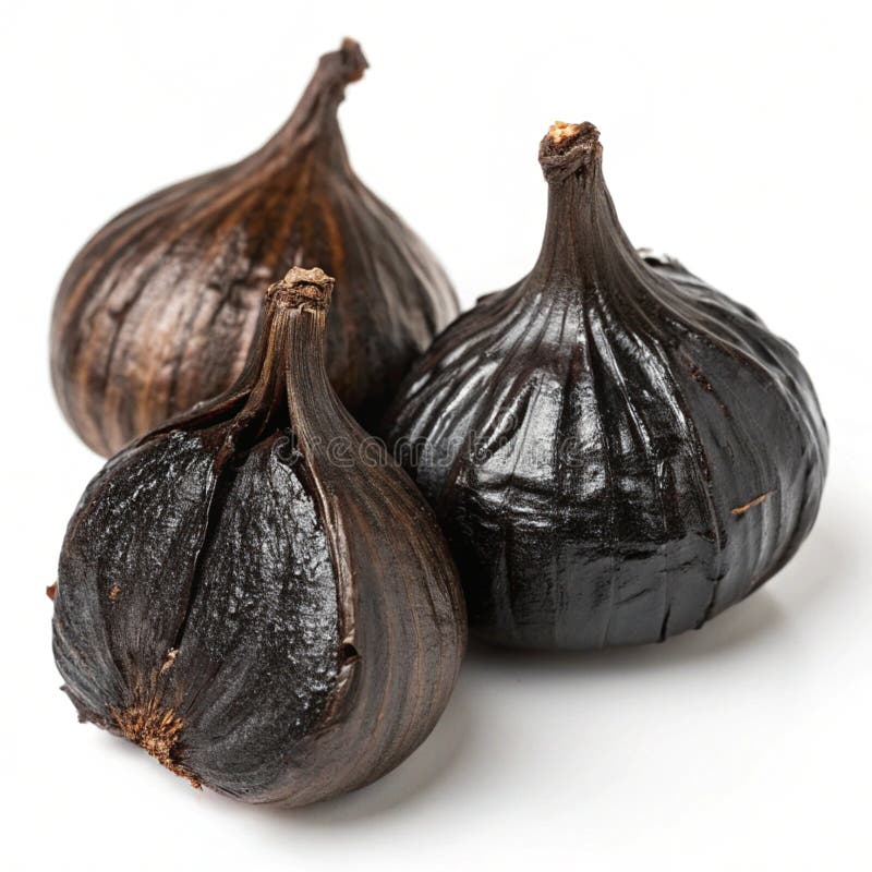Schwarze Knoblauchzwiebeln isoliert auf weißem Hintergrund stock abbildung