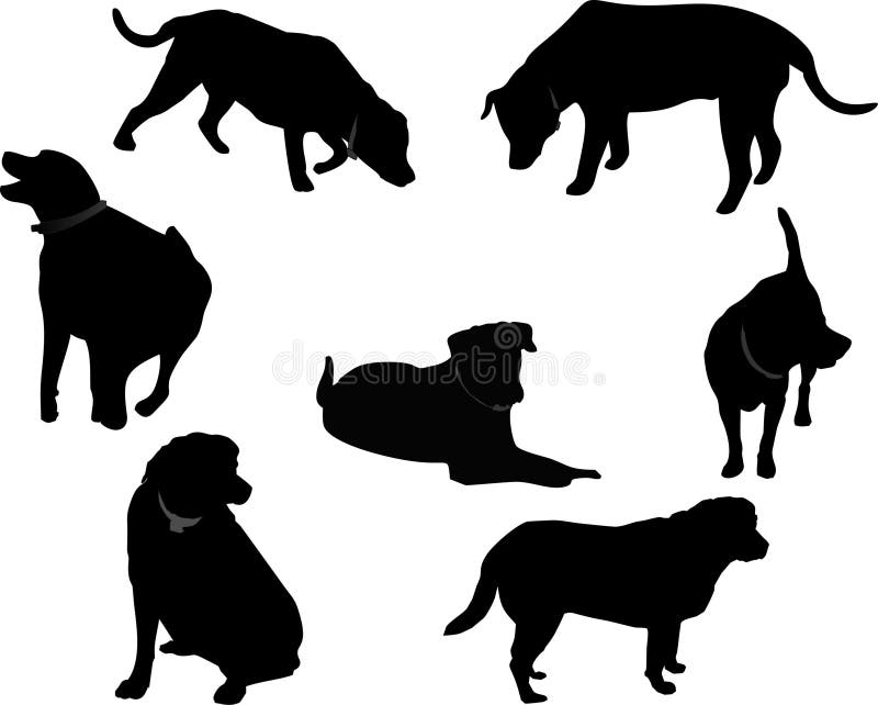 Group of Black Labrador silhouettes, over white and isolated for many usages. Group of Black Labrador silhouettes, over white and isolated for many usages.