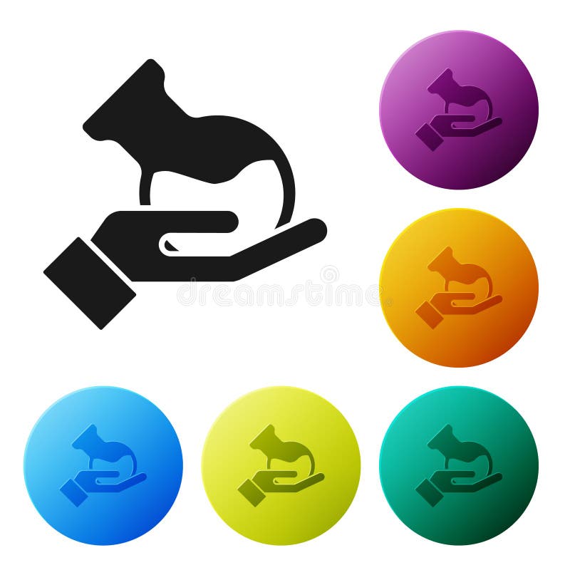 Schwarze Reagenzglas- und Flaschenin der Hand Symbol isoliert auf weißem Hintergrund Chemische Laboruntersuchungen Laborglaswaren vektor abbildung