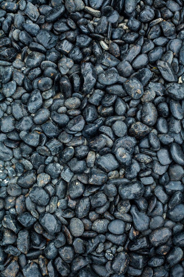 Schwarze Steine im Garten stockbild. Bild von niemand
