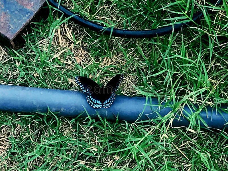 Schwarze und blaue Basisrecheneinheit stockfoto Schwarze und blaue Basisrecheneinheit stockfoto