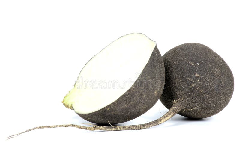 Schwarzer Rettich lizenzfreies stockfoto