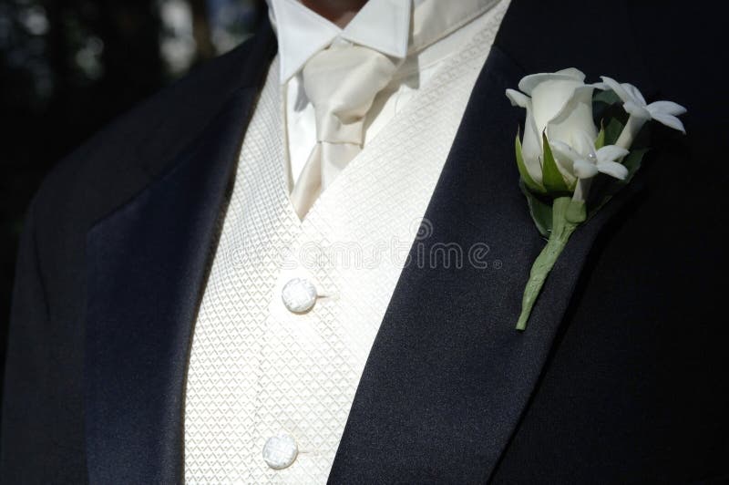 Schwarzer Smoking und Gleichheit des Bräutigams lizenzfreie stockfotografie Schwarzer Smoking und Gleichheit des Bräutigams lizenzfreie stockfotografie