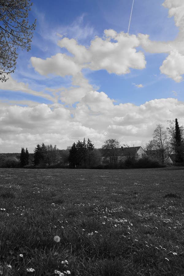 Schwarzer weißer blauer Wiesenwald und -himmel lizenzfreie stockbilder Schwarzer weißer blauer Wiesenwald und -himmel lizenzfreie stockbilder