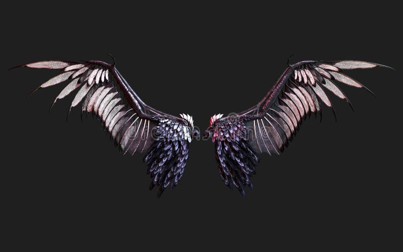 Demon Wings Schwarze Flügel Gefieder Isoliert Auf Weißem