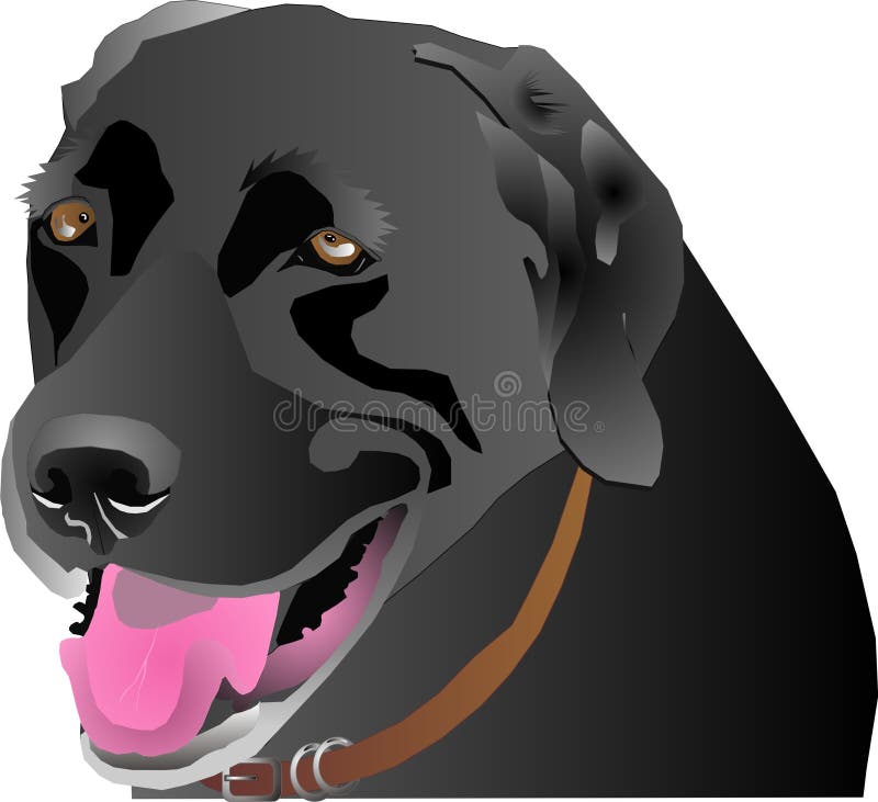 Black Labrador head profile, over white and isolated for many usages. Black Labrador head profile, over white and isolated for many usages.