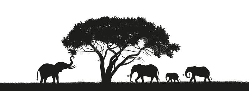 Schwarzes Schattenbild von Elefanten in der Savanne Tiere von Afrika Afrikanische Landschaft Panorama der wilden Natur