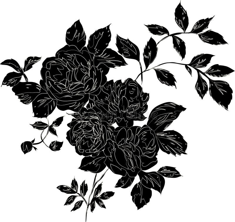 Schwarzrose stock abbildung Schwarzrose stock abbildung