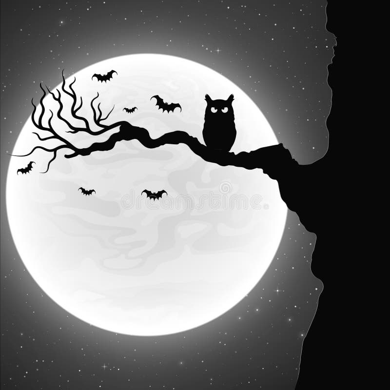 Schwarze Katze Auf Einem Baum Vor Dem Hintergrund Des