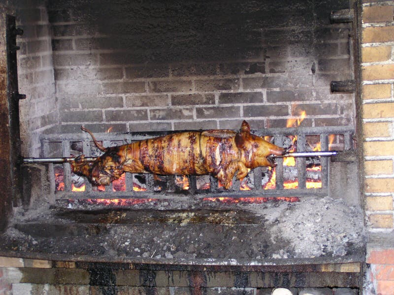 Schwein auf einem Spucken stockbild Schwein auf einem Spucken stockbild