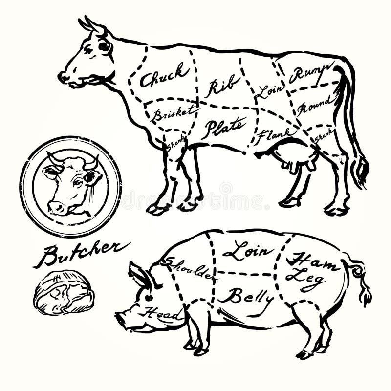 Schweinefleisch- und Rindfleischschnitte