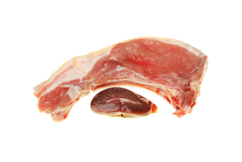 Rohes Schweinefleisch Der Niere Stockfoto Bild von koch, gesundheit
