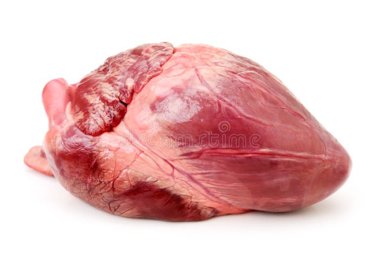 Schweinherz auf einem weißen Hintergrund stockbild Schweinherz auf einem weißen Hintergrund stockbild