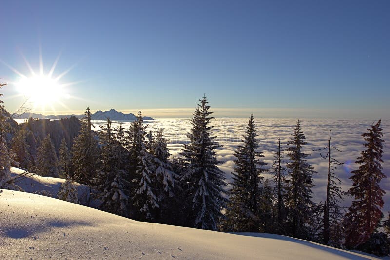 Schweizer Alps_5 stockfotografie