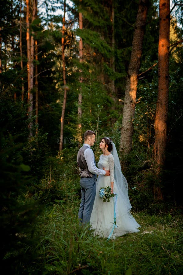 Schöne Jungvermählten verbinden im Wald gehen honeymooners Braut- und Bräutigamholdinghand im Kiefernwald, Foto für Valentinsgruß stockfotografie Schöne Jungvermählten verbinden im Wald gehen honeymooners Braut- und Bräutigamholdinghand im Kiefernwald, Foto für Valentinsgruß stockfotografie
