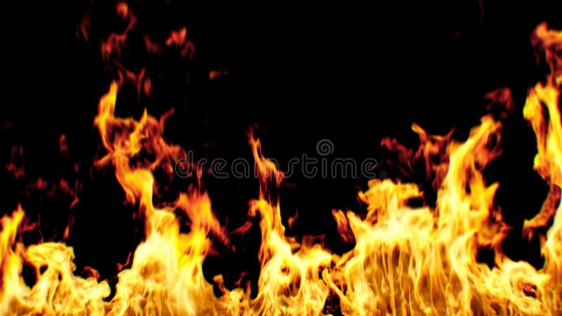 Schönes realistisches großes Feuer nahtlos auf schwarzem Hintergrund Geschlungene lokalisierte Animation der Flammen-3d 4K ultra