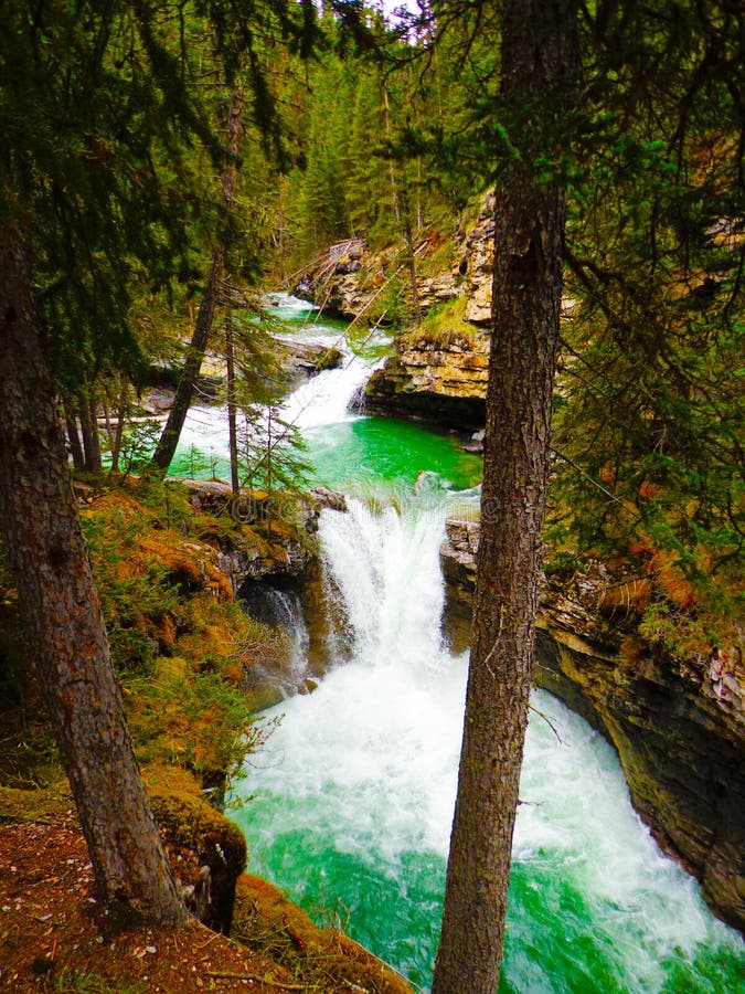 SCHÖNE ALBERTA-SZENE stockbild SCHÖNE ALBERTA-SZENE stockbild