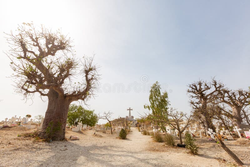 Schöne Aussicht auf die Bäume an einer Straße mit Kreuzstatue im Hintergrund in Senegal, Afrika lizenzfreie stockfotos Schöne Aussicht auf die Bäume an einer Straße mit Kreuzstatue im Hintergrund in Senegal, Afrika lizenzfreie stockfotos