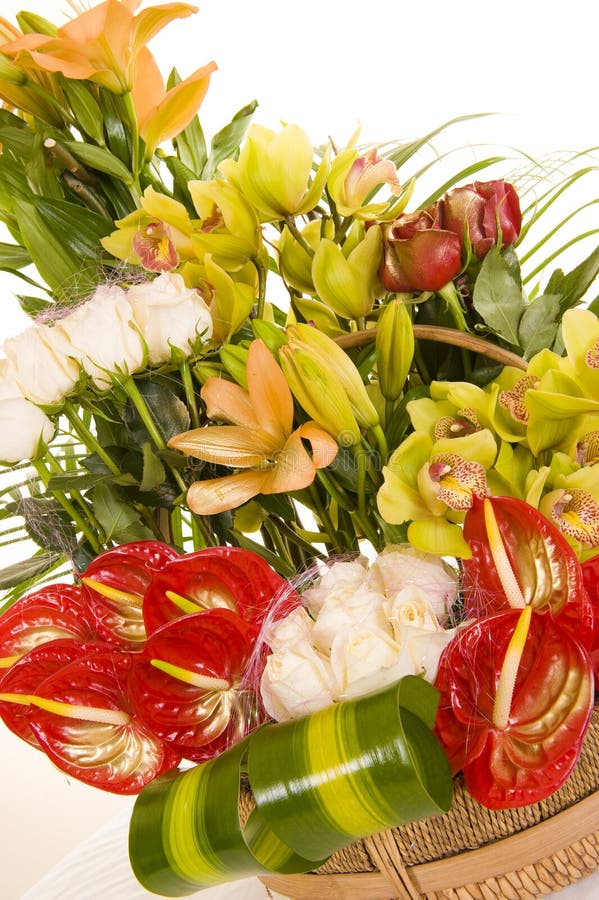 Schöne Blumenanordnung stockbild