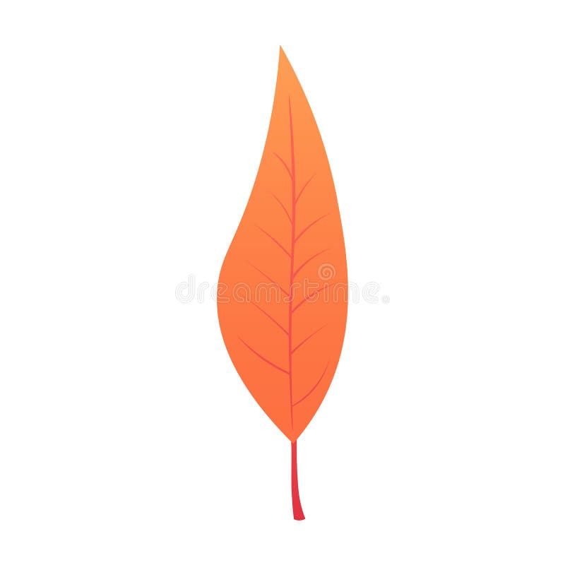 Schöne bunte Herbstblätter der Ansammlung getrennt auf weißem Hintergrund Abbildung lizenzfreie abbildung Schöne bunte Herbstblätter der Ansammlung getrennt auf weißem Hintergrund Abbildung lizenzfreie abbildung