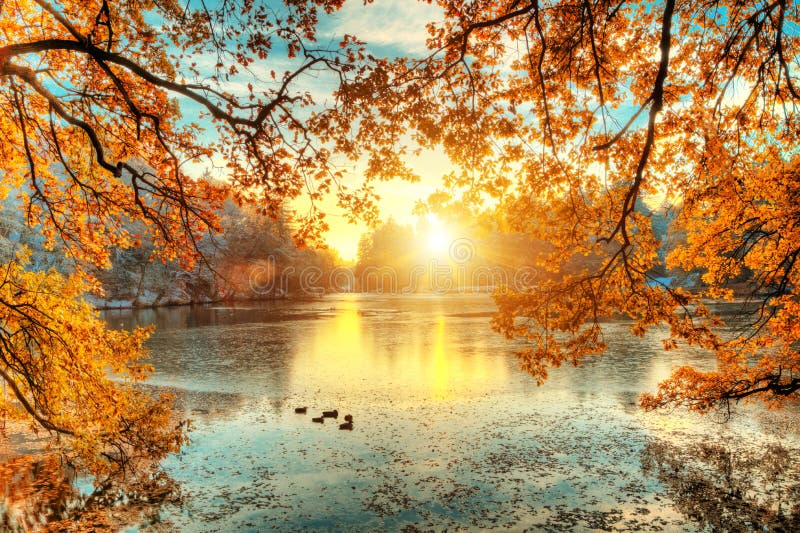 Schöne farbige Bäume mit See im Herbst, Landschaft-photograp lizenzfreie stockfotografie