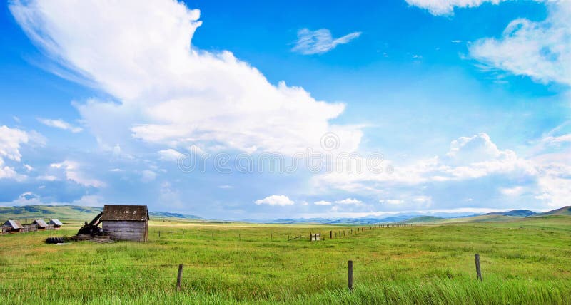 Schöne Graslandlandschaft in Alberta, Kanada lizenzfreie stockbilder