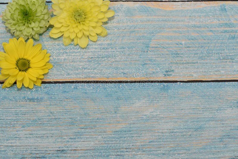 Schöne Grußkarte zum Tag der Frau Gelbe und grüne Blumen auf dem blauen hölzernen Hintergrund Ansicht von der Oberseite Raum für lizenzfreie stockfotos Schöne Grußkarte zum Tag der Frau Gelbe und grüne Blumen auf dem blauen hölzernen Hintergrund Ansicht von der Oberseite Raum für lizenzfreie stockfotos