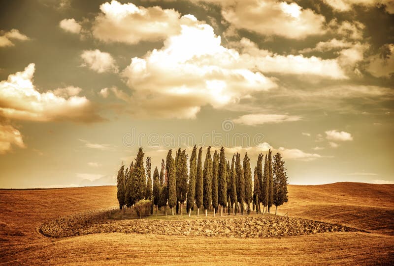 Schöne Herbst vinatge Landschaft lizenzfreie stockbilder