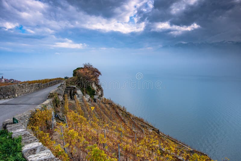Schöne Herbstfarben auf den Terrassen der Lavaux-Weinberge in der Schweiz und der nebeligen, dunklen drohenden Wolken über Genfer lizenzfreie stockfotos Schöne Herbstfarben auf den Terrassen der Lavaux-Weinberge in der Schweiz und der nebeligen, dunklen drohenden Wolken über Genfer lizenzfreie stockfotos