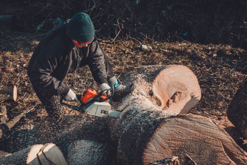 Schöne junge Frau in den Gläsern schneidet einen großen Baum der Asche auf Holz für Winter lizenzfreie stockfotos Schöne junge Frau in den Gläsern schneidet einen großen Baum der Asche auf Holz für Winter lizenzfreie stockfotos