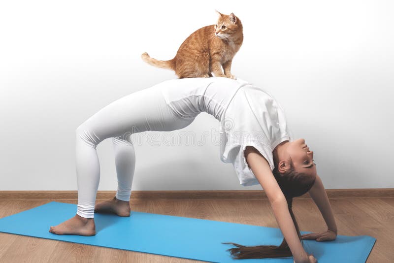 Schöne junge Frau im Yoga, das mit Katze aufwirft Eignung und pilates lizenzfreie stockfotografie Schöne junge Frau im Yoga, das mit Katze aufwirft Eignung und pilates lizenzfreie stockfotografie
