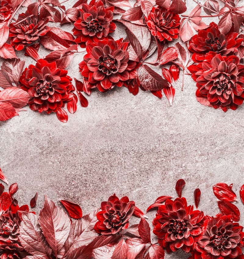 Schöne kreative rote Herbstblumen und -blätter gestalten das Verfassen auf grauem Steinhintergrund Blumenfallmuster, flache Lage lizenzfreies stockfoto