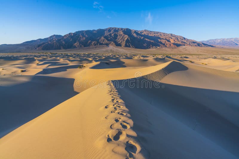 Schöne Landschaft der flachen Sanddünen des Süßhülsenbaums. Nationalpark Death Valley Kalifornien, USA lizenzfreies stockbild