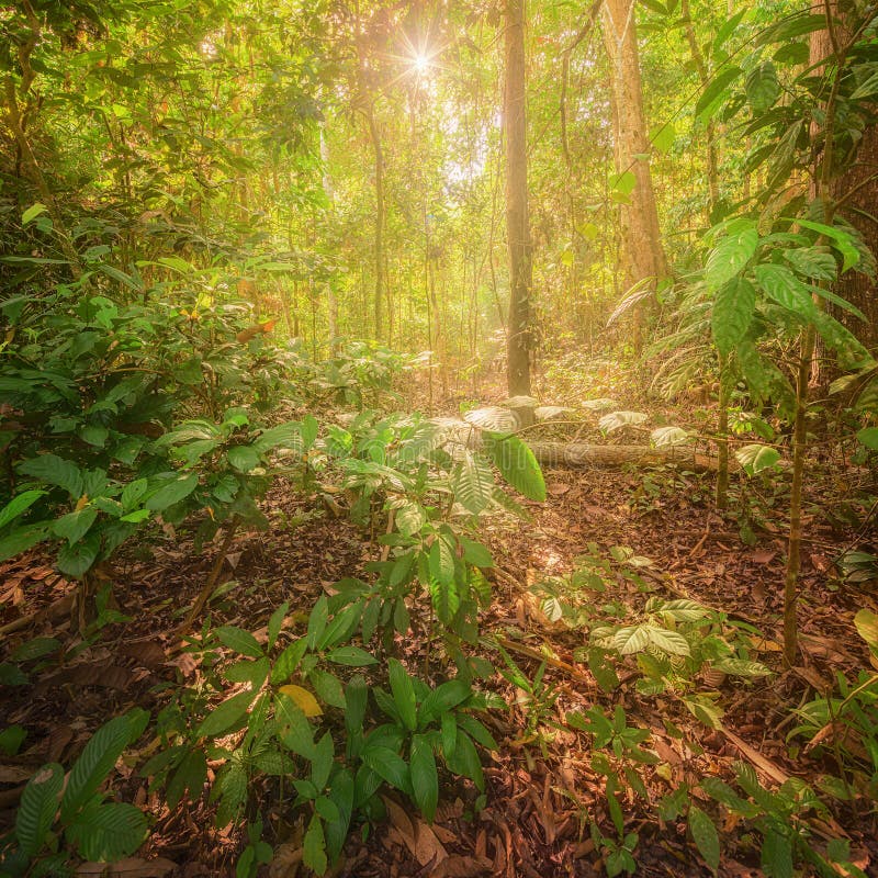 Schöne Landschaft des Berges, Chiang Mai, Thailand stockfoto Schöne Landschaft des Berges, Chiang Mai, Thailand stockfoto