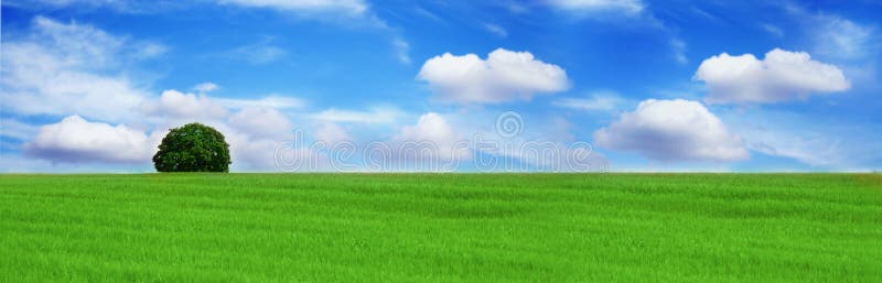 Einsamer Baum Schöne Landschaft stockbilder