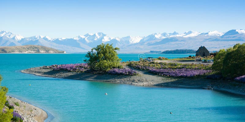 Schöne Landschaft des Garten-, See- und Schneeberges in See Tekapo, Südinsel, Neuseeland stockfotografie