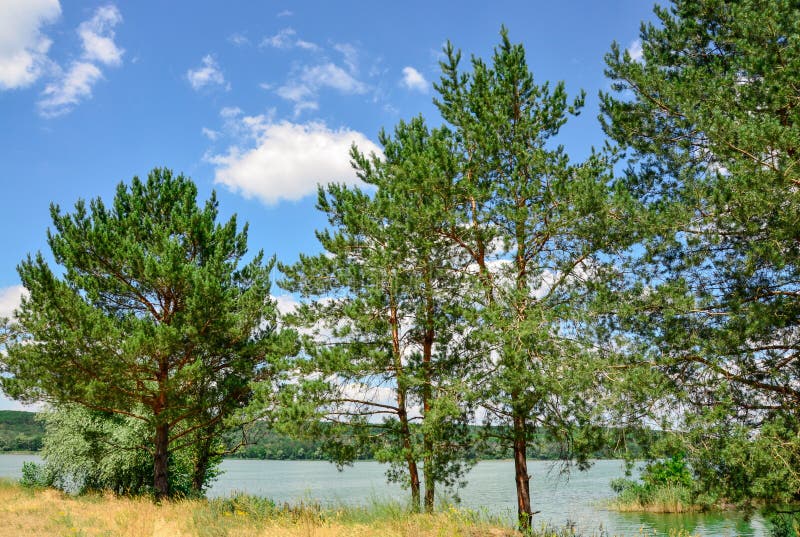 Schöne Landschaft durch das Wasser Frühlingssommerlandschaftsblauer Himmel bewölkt Flussgrünbäume stockfoto Schöne Landschaft durch das Wasser Frühlingssommerlandschaftsblauer Himmel bewölkt Flussgrünbäume stockfoto
