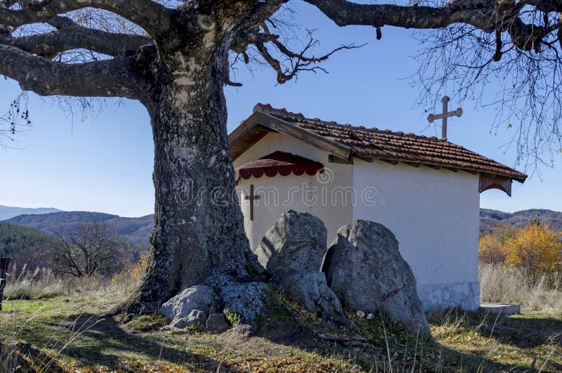 Schöne Landschaft mit herbstlichem ehrwürdigem Suppengrün und alten der Kapelle, gelegen in Plana-Berg, Bulgarien stockfoto Schöne Landschaft mit herbstlichem ehrwürdigem Suppengrün und alten der Kapelle, gelegen in Plana-Berg, Bulgarien stockfoto