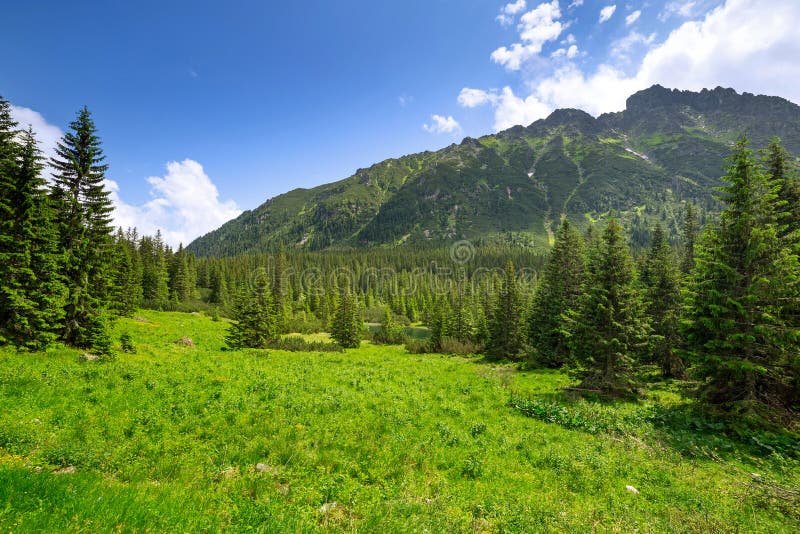 Schöne Landschaft von Tatra-Bergen lizenzfreie stockfotos Schöne Landschaft von Tatra-Bergen lizenzfreie stockfotos