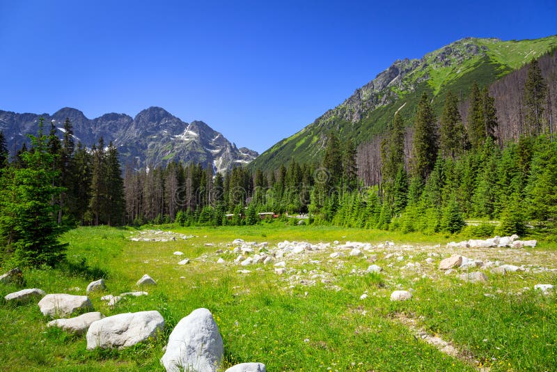 Schöne Landschaft von Wlosienica-Wiese in Tatra-Berg lizenzfreie stockfotos Schöne Landschaft von Wlosienica-Wiese in Tatra-Berg lizenzfreie stockfotos