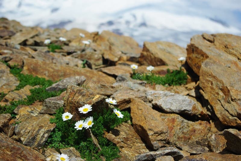 schöne Natur, Berglandschaft lizenzfreie stockfotografie schöne Natur, Berglandschaft lizenzfreie stockfotografie
