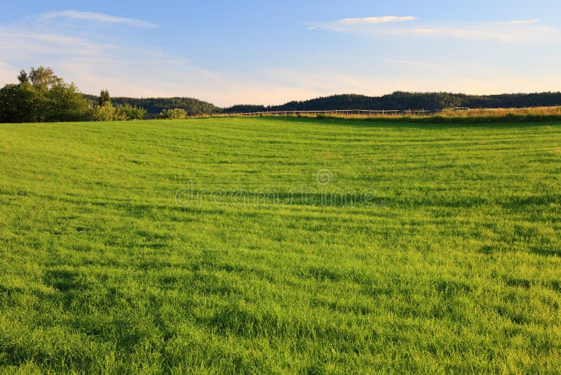 Üppiges grünes Rasen, Garten, Haus, Vorgarten, ländliches Grundstück, Wohngebiet, leerer Hof, schöner Teppich, blauer Himmel, Zuha lizenzfreie stockbilder