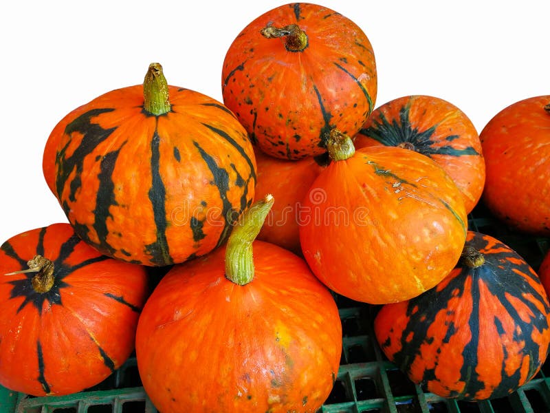 Schöne orange Kürbise Staplungshaufen lizenzfreie stockfotografie Schöne orange Kürbise Staplungshaufen lizenzfreie stockfotografie