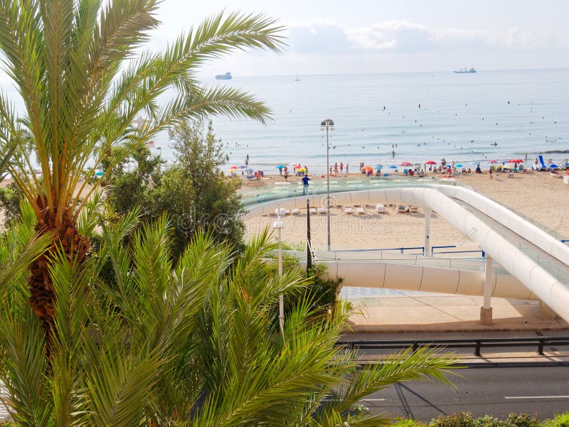 Schöne Palmen und Strand in Alicante spanien stockfotos Schöne Palmen und Strand in Alicante spanien stockfotos