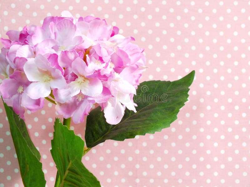 Schöne rosa Hortensie des Blumenstraußes der künstlichen Blumen auf rosa Tupfenhintergrund stockfoto Schöne rosa Hortensie des Blumenstraußes der künstlichen Blumen auf rosa Tupfenhintergrund stockfoto