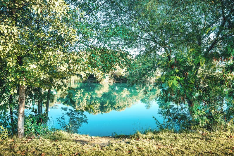 Schöne Seenlandschaft mit grünen Bäumen und Gras lizenzfreies stockfoto Schöne Seenlandschaft mit grünen Bäumen und Gras lizenzfreies stockfoto