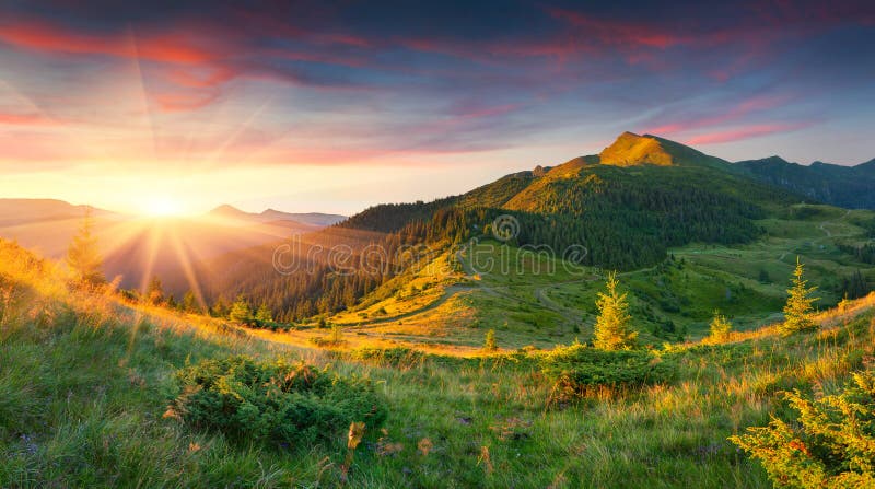 Schöne Sommerlandschaft in den Bergen stockfoto